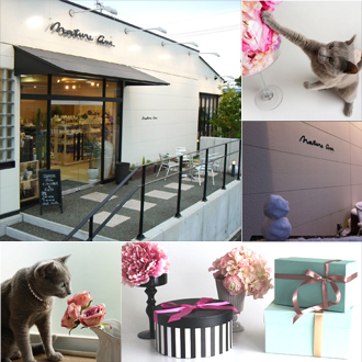 nature ave. ショップ外観